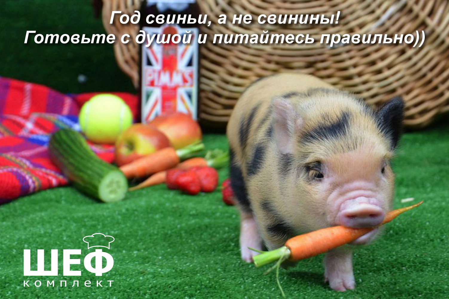 С наступающим 2019-м!!!